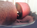https://www.edelmond-shop.de/bilder/video_in_product_image_gallery/walze1_2.png