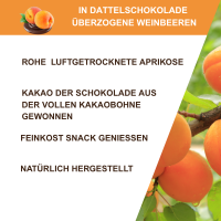 Aprikosen in Dattelkakao Roh Bio 150g