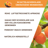 Aprikosen in Dattelschokolade Roh/Bio 150g