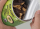 Apfel Choco & Protein Schokofrucht Bio Dose
