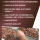 3 × 100 Bio-Rohschokolade – Theobromas Kraft & Reinheit