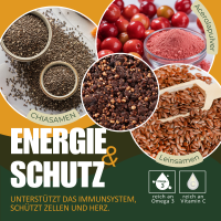 Bio Karottenkuchen-Art Riegel. Histaminbewusste Rezeptur ohne N&uuml;sse 150 g