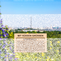 Grunewald Berlin Stadt-Schokolade, Bio & Fair