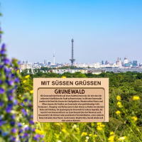 Grunewald Souvenir Bio Schokolade als Geschenk