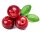 Cranberry-Frucht in Milchschokolade, Bio + Fair