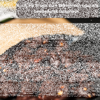 Walnuss in 100% Kakao. Bio Vegan extra bitter! 175g
