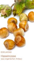 Karamell-Haselnüsse in Zartbitter Schokolade Bio/Fair