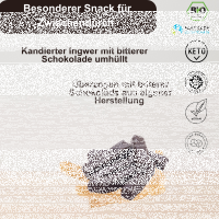 Ingwer-Sticks in 100% Edel-Kakao Fair& Bio