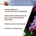 Weinbeeren in Dattelkakao, Bio 150 g