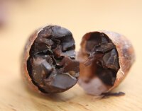 Kakaobohnen in 100% Schokolade, Bio/Fair - 350g