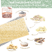 Gesalzene Pistazie, Weiße Schokolade, Bio+Fair